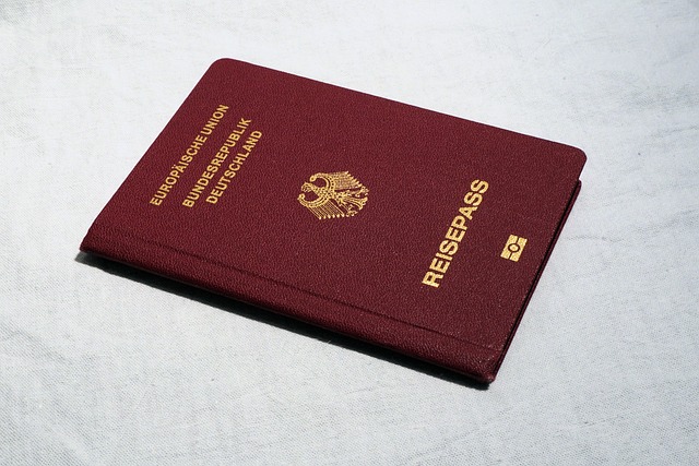 document+verification+passport