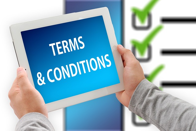 terms+conditions+checklist