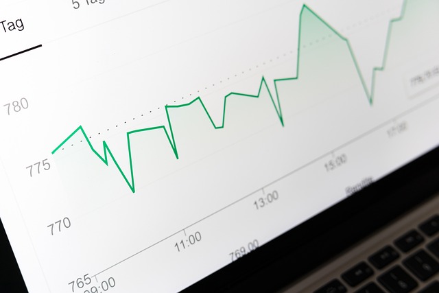 index+fund+stocks